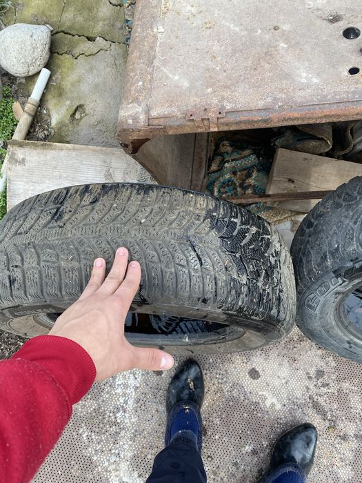 Пакришка зор 1 ай болды