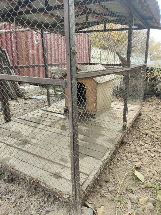 Вольер / Клетка для собак