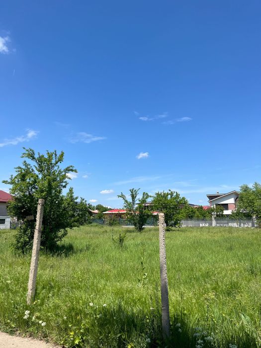 Teren de vanzare