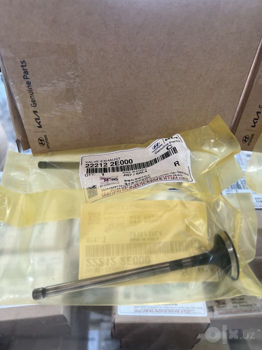 Hyundai va Kia Injector/Farsunka