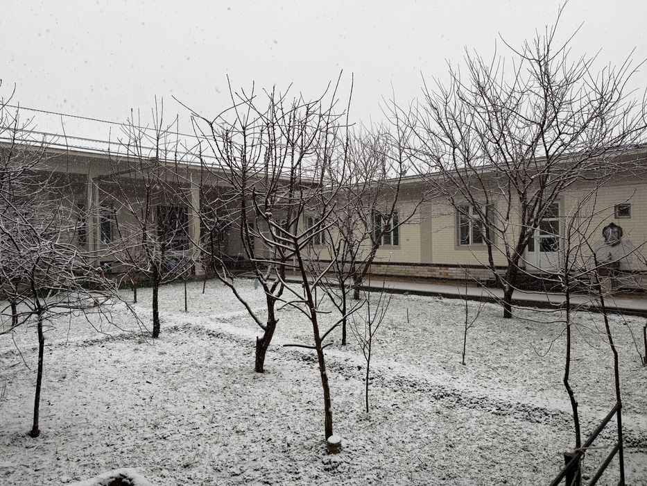 Уй сотилади 8 сотих. 7 та хона. Пишган гиштдан курилган. Падвали бор.