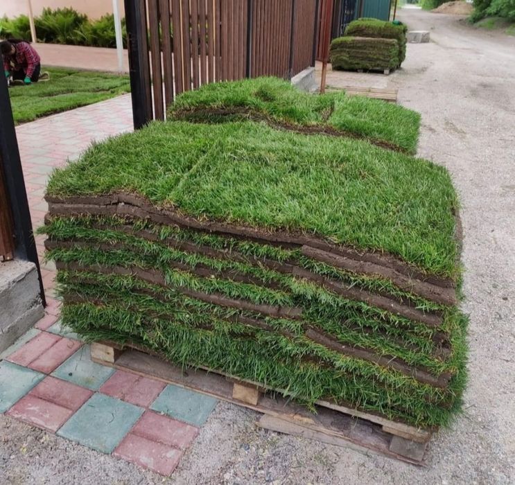 Посадка,укладка газона