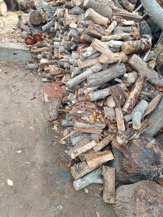 o'tin mevali   toshkent dastafka