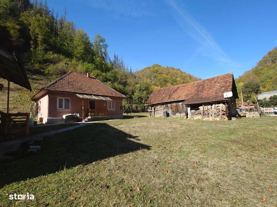 Doua case, teren si padure in Mihaileni - Buces