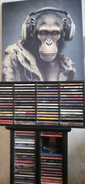 Кутия поставка са сидита 60 бр.