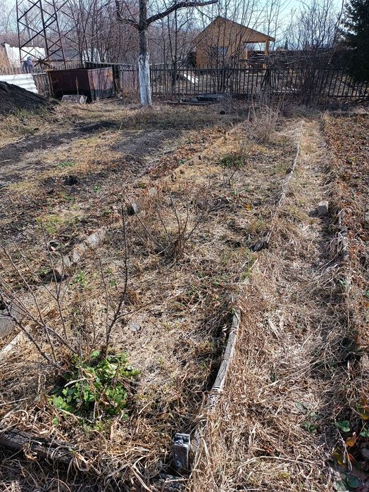 Продам дачу в СК Ромашка