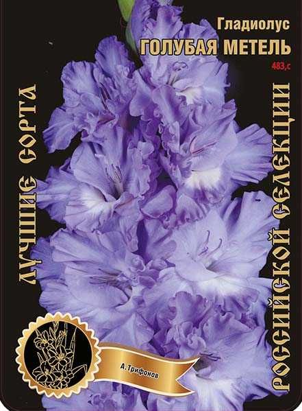 Гладиолусы луковицы