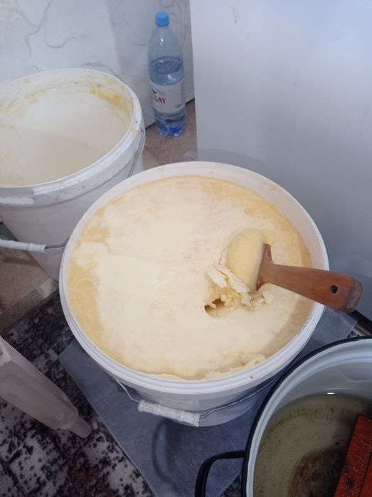 Продам отличный мед