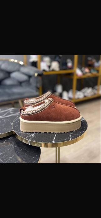 Ugg Tazz calitate premium