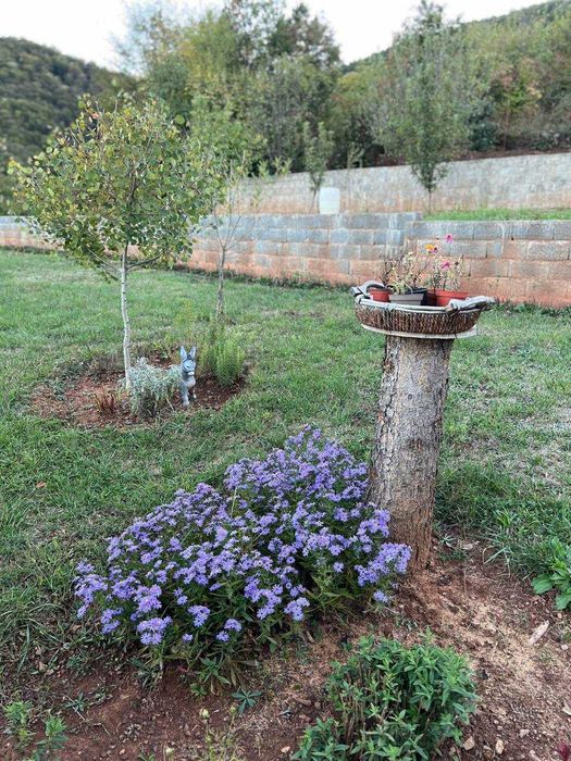 Продава се Къща в Ботевград - 1485 кв.м за 169 €/кв.м - Снимка #8