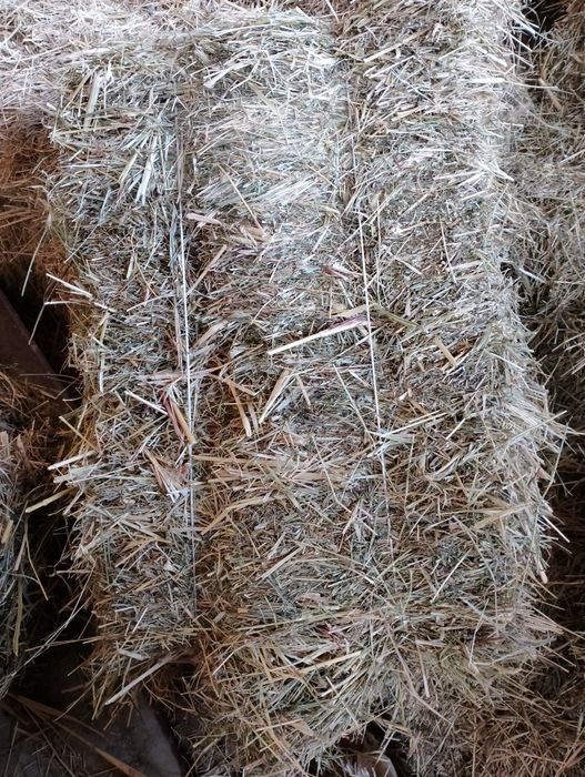 Беда пресс бор. 60 та. 1-3 уримлар.