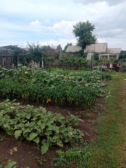 Продам дачу пкст краснопартизанское