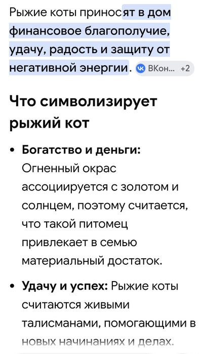 Рыжий малыш ищет семью
