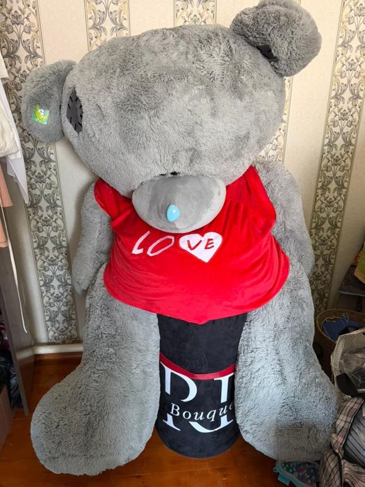 серый медведь продается