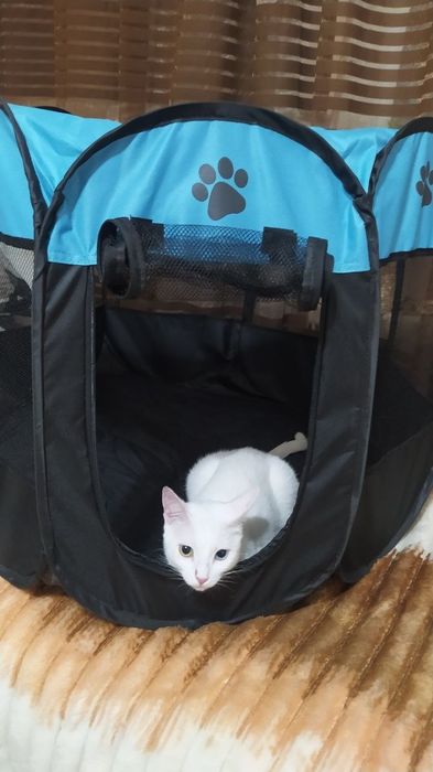 Манеж для кошек.