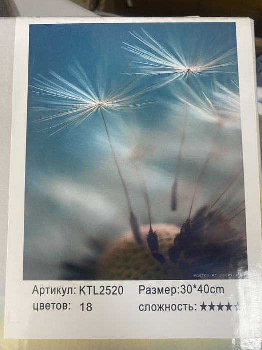 Картинка по номерам