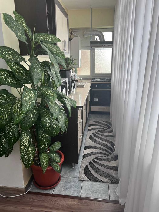 Apartament de vanzare extra central