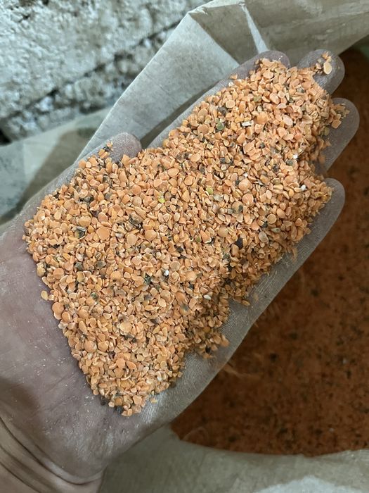 Сечка чечевицы и отруби для комбикормов, корм длс КРС, МРС И ПТИЦ