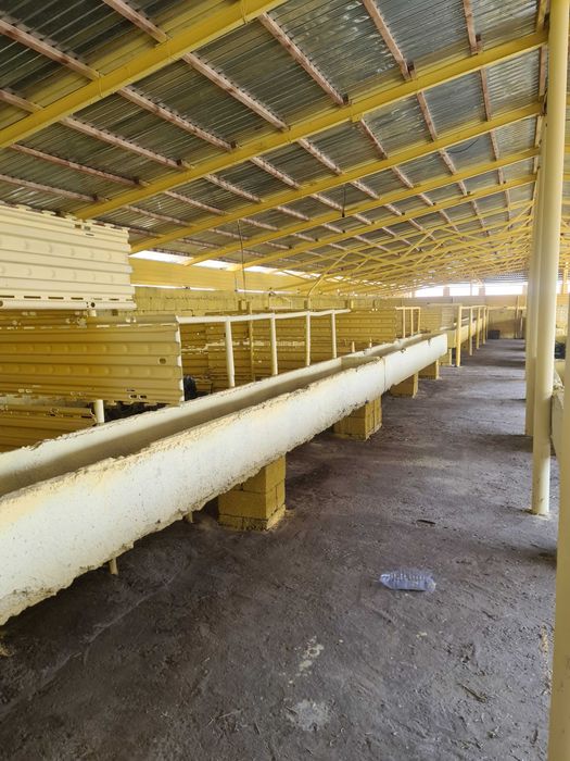 Откормочная база