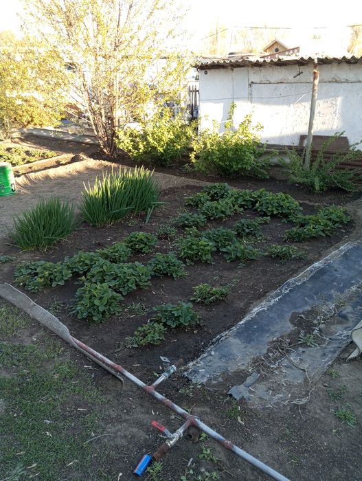 Срочно продам пол дома в центре города!