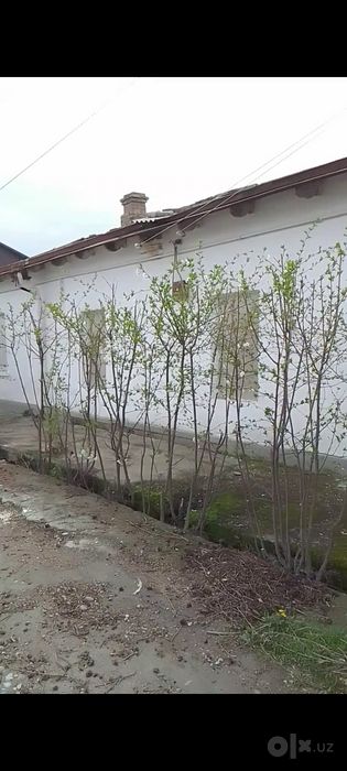 Продаётся дом Джамбай