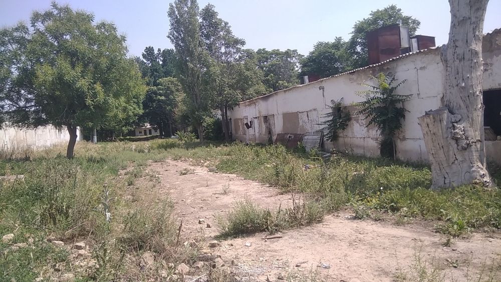 Сотилади 56 сотук