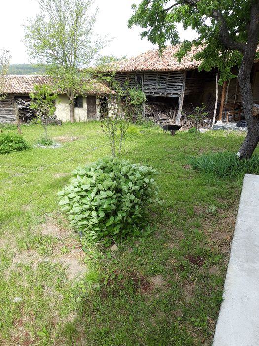 Продава се Къща в с. Изворово, Област Търговище - 140 кв.м за 272 €/кв.м - Снимка #6