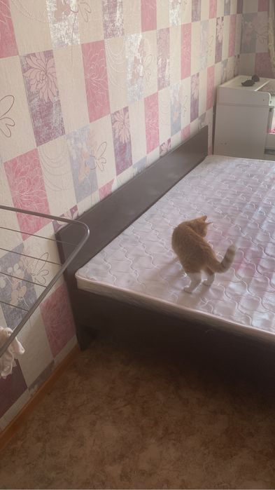 Кровать 200х180 с матрасом