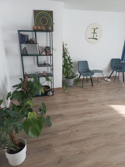 Inchiriere spatii comerciale  noi cu 3 camere decomenadate