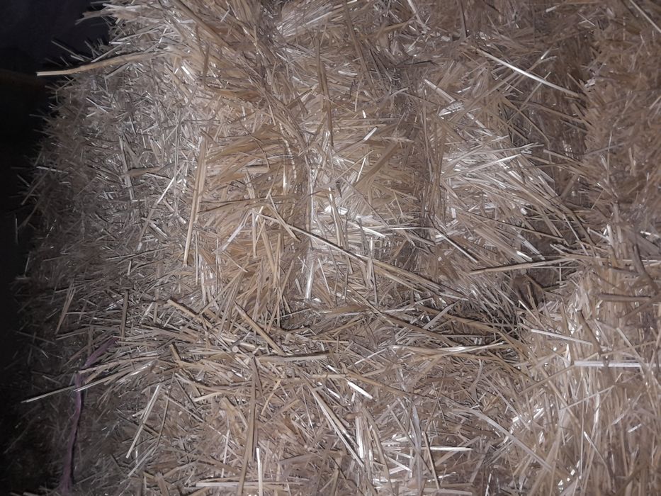 Сельхоз животное