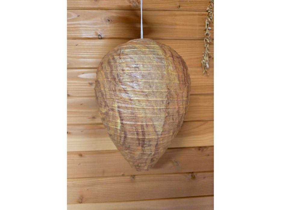 Фалшиво гнездо против оси и стършели