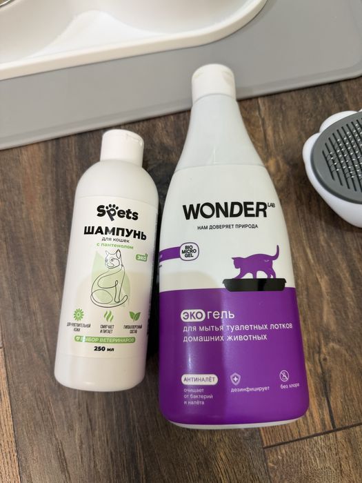 Все что нужно для котенка