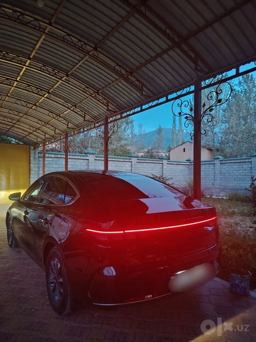 Byd chazor 55 km.