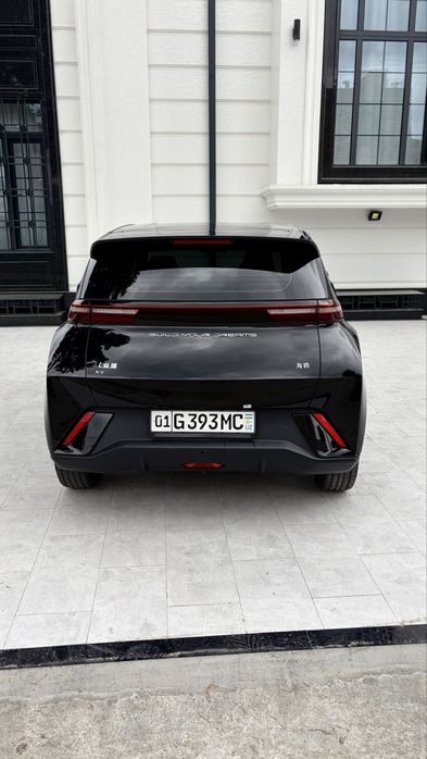 BYD Seagull 2024 — 3