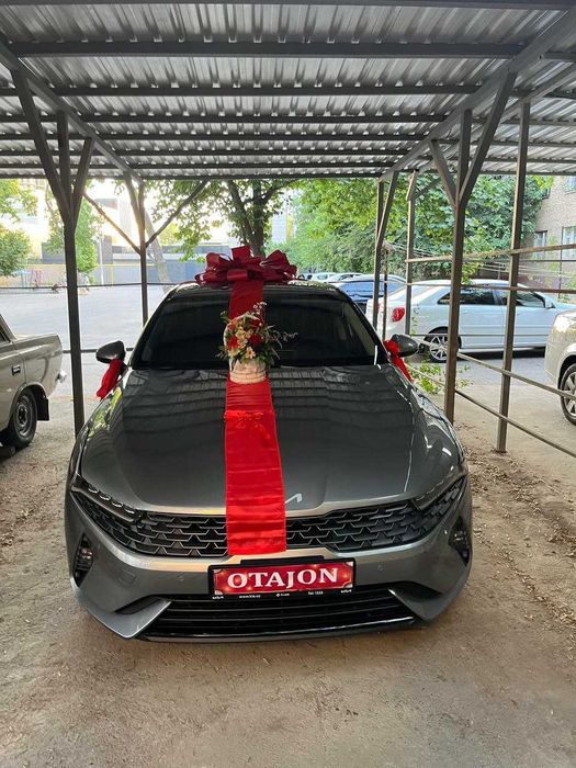 Bantik,lenta,бант,мошинага BYD han, спарк, тесла