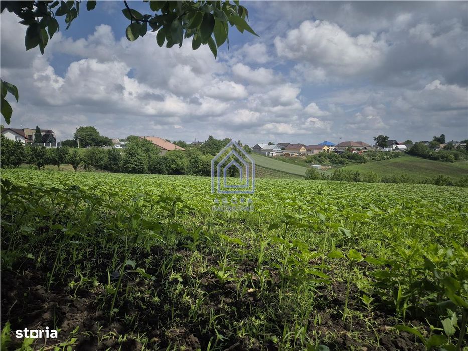 Teren intravilan Moara Nica - zona Scolii