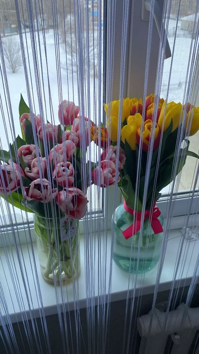 Лисаковск Тюльпаны к 8 Марта