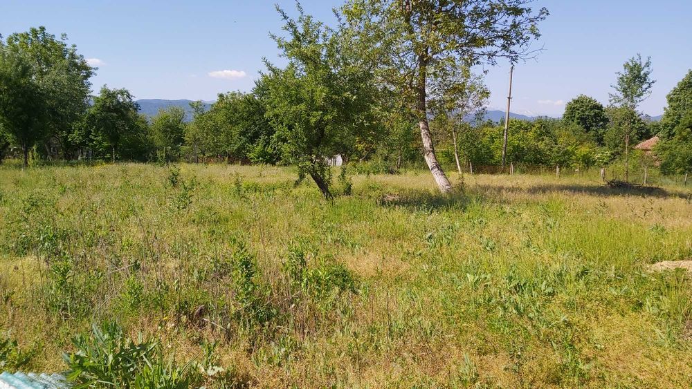 Почистване на запустели дворове и парцели от храсти и къпина.