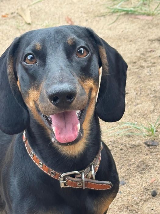 Предлагается для вязки кабель