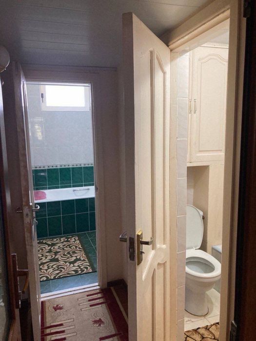 Qora qamish 2/5    4/2/4