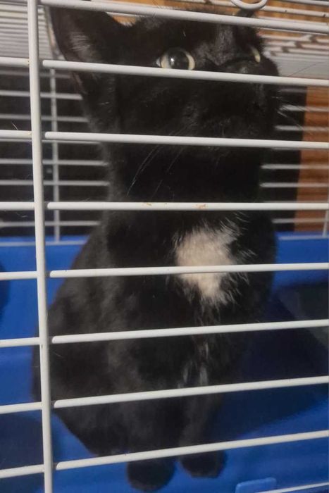 По дороге к счастью - девочка Юша