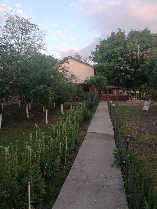 Casă cu 2 apartamente, intrări separate – Malu Mare – teren 2365 m², a