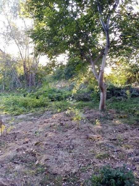 Продава се Парцел в Садово - 2070 кв.м за 13 €/кв.м - Снимка #1