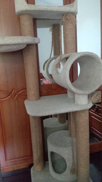 Когтеточка для кота