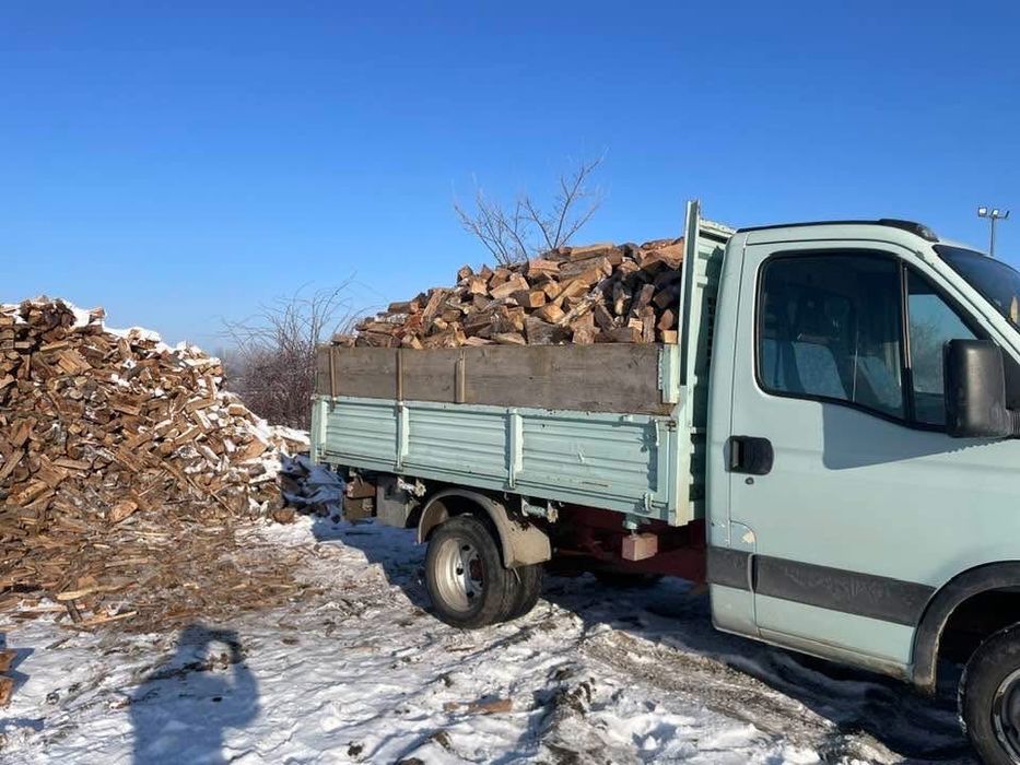 Vand lemne de foc Fag-Spart