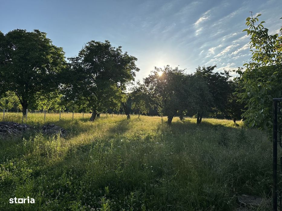 Casa si gradina generoasă aproape de Colibița (potențial Airbnb)