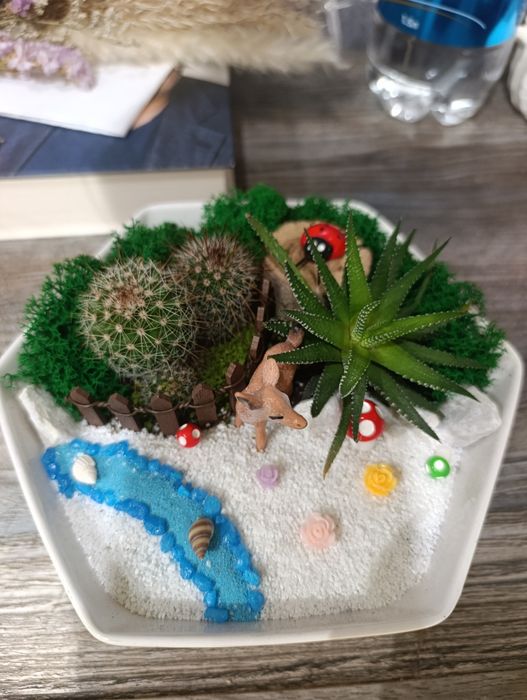 Продам флорариум для любого праздника.