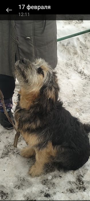 Отдаем девчулек - красотулек ответственным  людям.