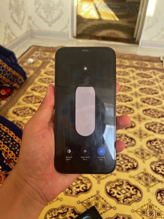 Iphone 12pro max 256