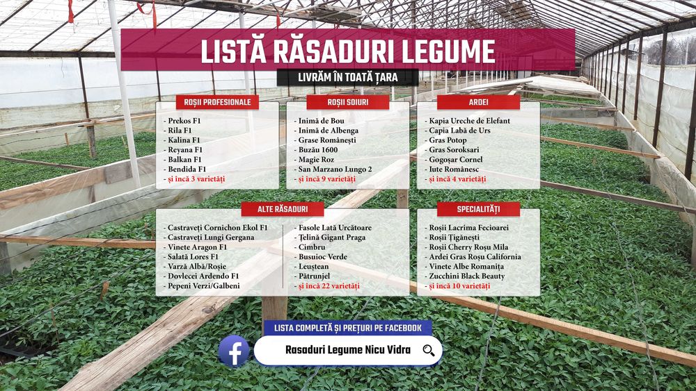 Rasaduri legume: Vand rasad rosii, rasad castraveti, rasad vinete, rasad ardei, rasad plante aromatice